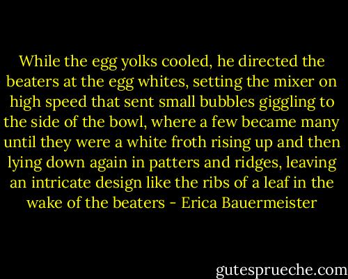 While the egg yolks cooled, he directed the beaters at the egg whites, setting the mixer on high speed that sent small bubbles giggling to the side of the bowl, where a few became many until they were a white froth rising up and then lying down again in patters and ridges, leaving an intricate design like the ribs of a leaf in the wake of the beaters - Erica Bauermeister