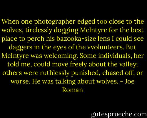 When one photographer edged too close to the wolves, tirelessly dogging McIntyre for the best place to perch his bazooka-size lens I could see daggers in the eyes of the vvolunteers. But McIntyre was welcoming. Some individuals, her told me, could move freely about the valley; others were ruthlessly punished, chased off, or worse. He was talking about wolves. - Joe Roman