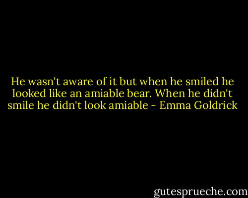 He wasn't aware of it but when he smiled he looked like an amiable bear. When he didn't smile he didn't look amiable - Emma Goldrick