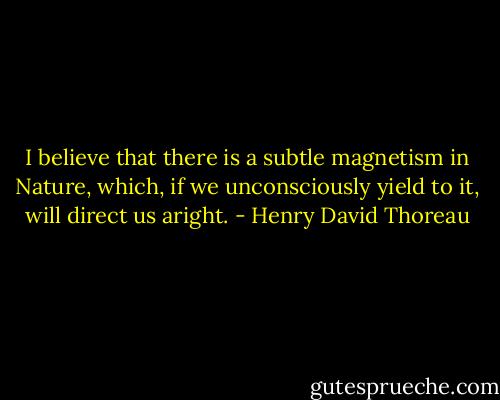 I believe that there is a subtle magnetism in Nature, which, if we unconsciously yield to it, will direct us aright. - Henry David Thoreau