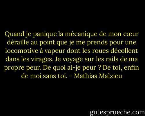 Quand je panique la mécanique de mon cœur déraille au point que je me prends pour une locomotive à vapeur dont les roues décollent dans les virages. Je voyage sur les rails de ma propre peur. De quoi ai-je peur ? De toi, enfin de moi sans toi. - Mathias Malzieu