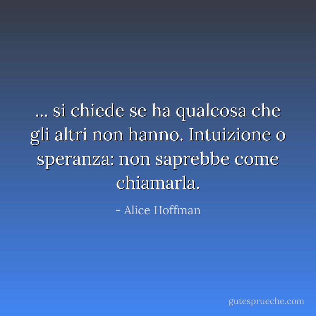 ... si chiede se ha qualcosa che gli altri non hanno. Intuizione o speranza: non saprebbe come chiamarla. - Alice Hoffman