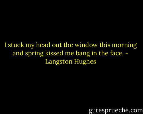 I stuck my head out the window this morning and spring kissed me bang in the face. - Langston Hughes