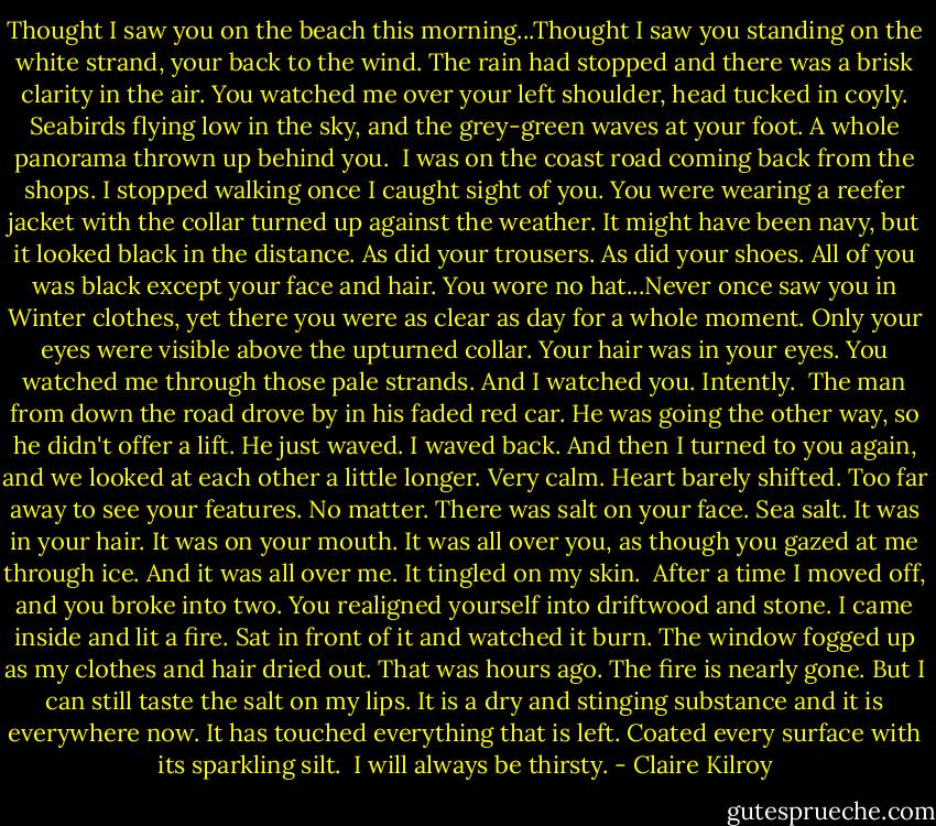 Thought I saw you on the beach this morning...Thought I saw you standing on the white strand, your back to the wind. The rain had stopped and there was a brisk clarity in the air. You watched me over your left shoulder, head tucked in coyly. Seabirds flying low in the sky, and the grey-green waves at your foot. A whole panorama thrown up behind you.<br /><br />I was on the coast road coming back from the shops. I stopped walking once I caught sight of you. You were wearing a reefer jacket with the collar turned up against the weather. It might have been navy, but it looked black in the distance. As did your trousers. As did your shoes. All of you was black except your face and hair. You wore no hat...Never once saw you in Winter clothes, yet there you were as clear as day for a whole moment. Only your eyes were visible above the upturned collar. Your hair was in your eyes. You watched me through those pale strands. And I watched you. Intently.<br /><br />The man from down the road drove by in his faded red car. He was going the other way, so he didn't offer a lift. He just waved. I waved back. And then I turned to you again, and we looked at each other a little longer. Very calm. Heart barely shifted. Too far away to see your features. No matter. There was salt on your face. Sea salt. It was in your hair. It was on your mouth. It was all over you, as though you gazed at me through ice. And it was all over me. It tingled on my skin.<br /><br />After a time I moved off, and you broke into two. You realigned yourself into driftwood and stone. I came inside and lit a fire. Sat in front of it and watched it burn. The window fogged up as my clothes and hair dried out. That was hours ago. The fire is nearly gone. But I can still taste the salt on my lips. It is a dry and stinging substance and it is everywhere now. It has touched everything that is left. Coated every surface with its sparkling silt.<br /><br />I will always be thirsty. - Claire Kilroy