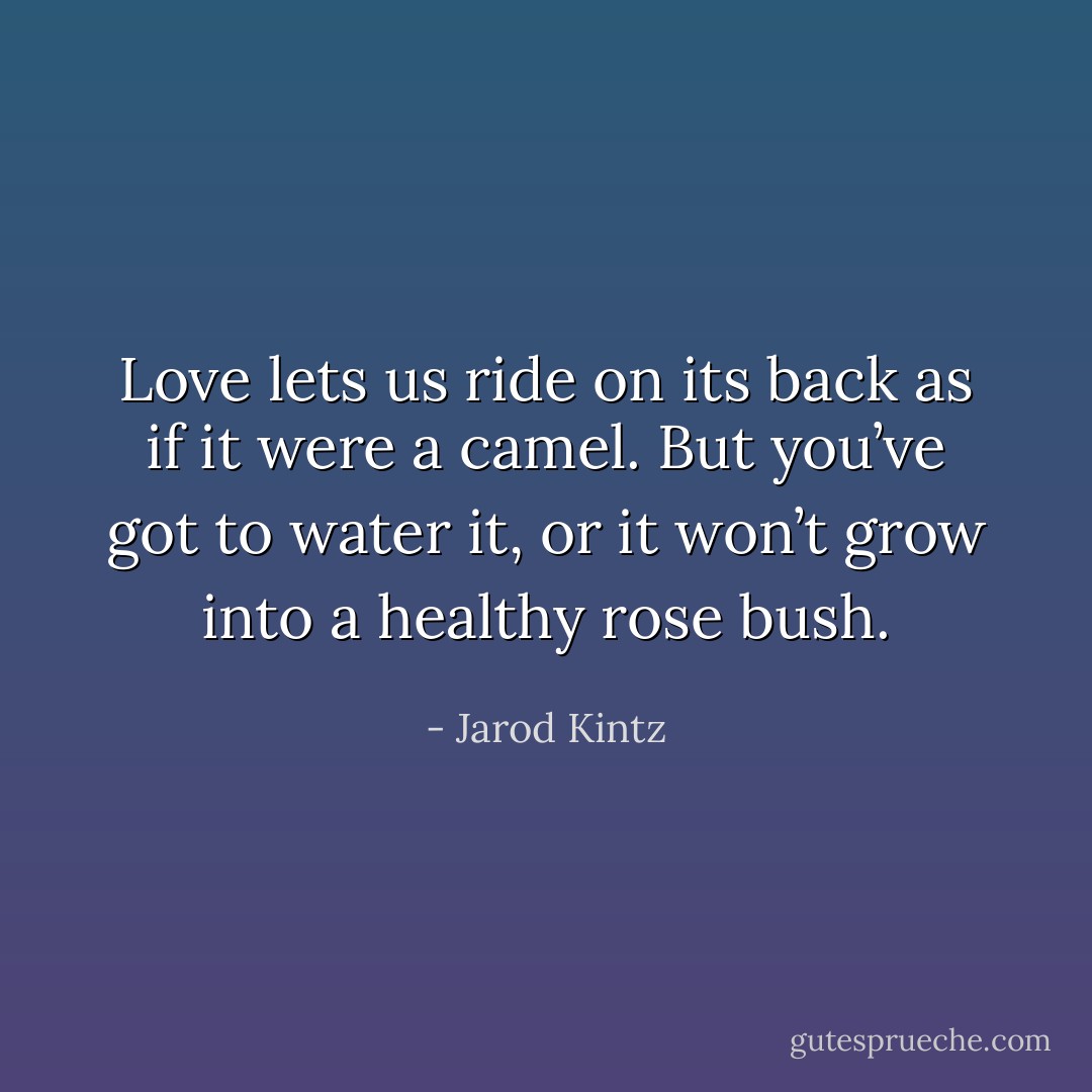 Love lets us ride on its back as if it were a camel. But you’ve got to water it, or it won’t grow into a healthy rose bush. - Jarod Kintz