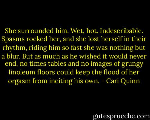 She surrounded him. Wet, hot. Indescribable. Spasms rocked her, and she lost herself in their rhythm, riding him so fast she was nothing but a blur. But as much as he wished it would never end, no times tables and no images of grungy linoleum floors could keep the flood of her orgasm from inciting his own. - Cari Quinn