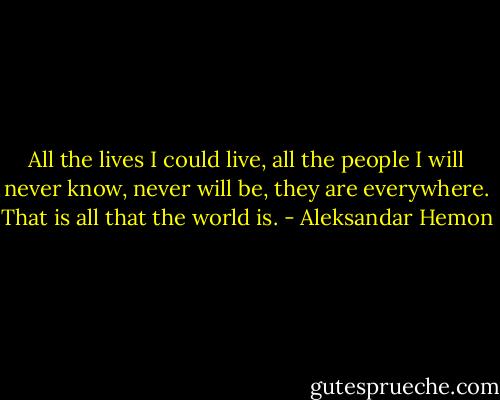 All the lives I could live, all the people I will never know, never will be, they are everywhere. That is all that the world is. - Aleksandar Hemon