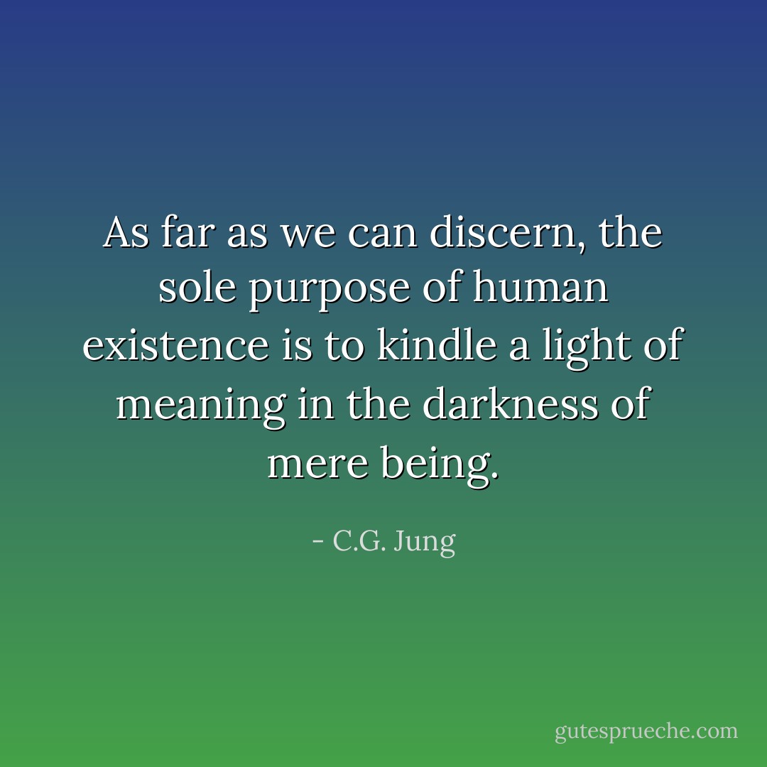 As far as we can discern, the sole purpose of human existence is to kindle a light of meaning in the darkness of mere being. - C.G. Jung