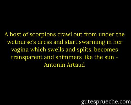 A host of scorpions crawl out from under the wetnurse's dress and start swarming in her vagina which swells and splits, becomes transparent and shimmers like the sun - Antonin Artaud