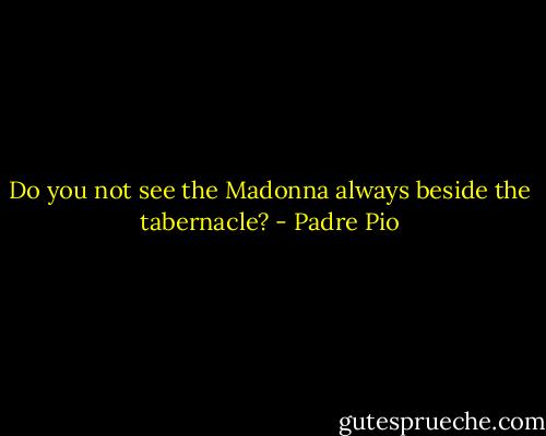 Do you not see the Madonna always beside the tabernacle? - Padre Pio