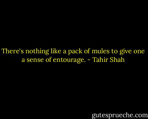 There's nothing like a pack of mules to give one a sense of entourage. - Tahir Shah