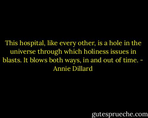 This hospital, like every other, is a hole in the universe through which holiness issues in blasts. It blows both ways, in and out of time. - Annie Dillard