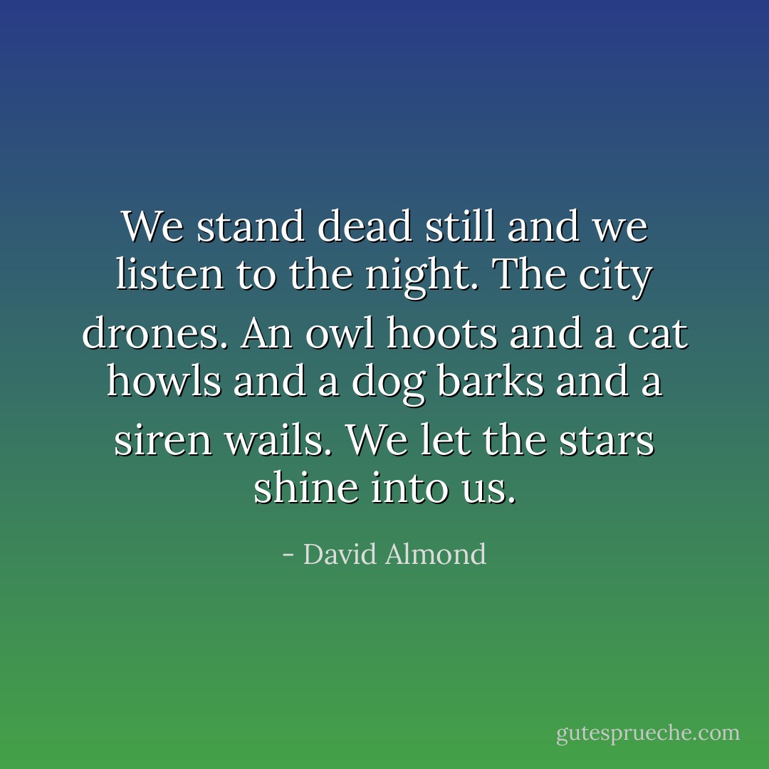 We stand dead still and we listen to the night. The city drones. An owl hoots and a cat howls and a dog barks and a siren wails.<br />We let the stars shine into us. - David Almond