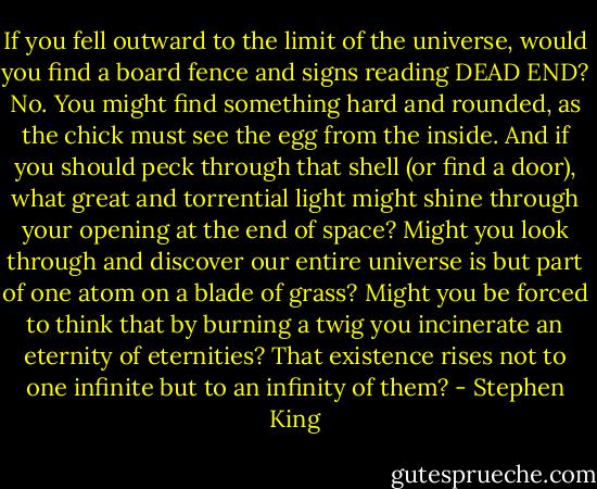 If you fell outward to the limit of the universe, would you find a board fence and signs reading DEAD END? No. You might find something hard and rounded, as the chick must see the egg from the inside. And if you should peck through that shell (or find a door), what great and torrential light might shine through your opening at the end of space? Might you look through and discover our entire universe is but part of one atom on a blade of grass? Might you be forced to think that by burning a twig you incinerate an eternity of eternities? That existence rises not to one infinite but to an infinity of them? - Stephen King