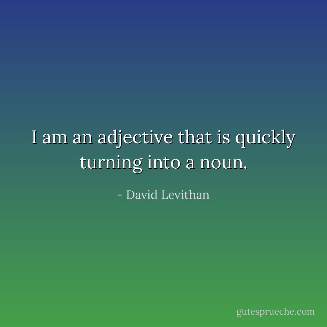 I am an adjective that is quickly turning into a noun. - David Levithan
