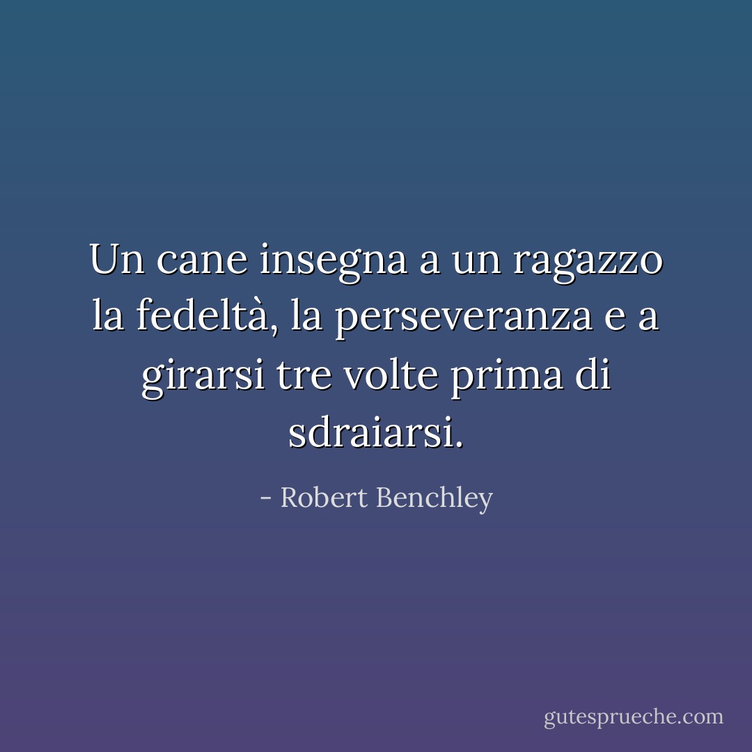 Un cane insegna a un ragazzo la fedeltà, la perseveranza e a girarsi tre volte prima di sdraiarsi. - Robert Benchley