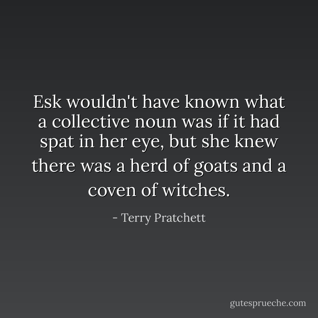 Esk wouldn't have known what a collective noun was if it had spat in her eye, but she knew there was a herd of goats and a coven of witches. - Terry Pratchett