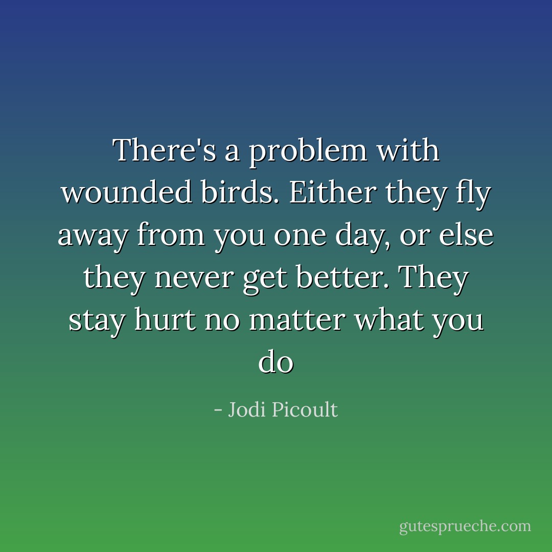 There's a problem with wounded birds. Either they fly away from you one day, or else they never get better. They stay hurt no matter what you do - Jodi Picoult