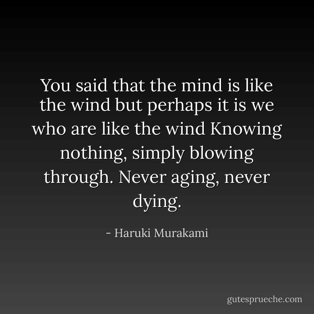 You said that the mind is like the wind but perhaps it is we who are like the wind Knowing nothing, simply blowing through. Never aging, never dying. - Haruki Murakami