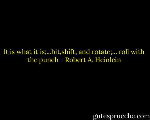 It is what it is;...hit,shift, and rotate;... roll with the punch - Robert A. Heinlein