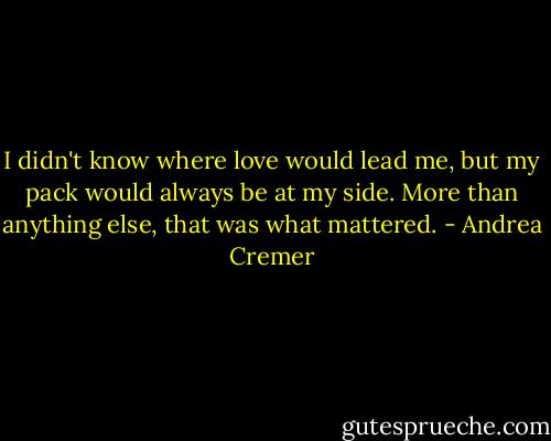 I didn't know where love would lead me, but my pack would always be at my side. More than anything else, that was what mattered. - Andrea Cremer