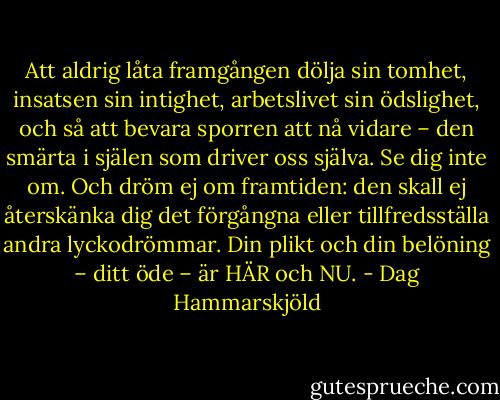 Att aldrig låta framgången dölja sin tomhet, insatsen sin intighet, arbetslivet sin ödslighet, och så att bevara sporren att nå vidare – den smärta i själen som driver oss själva. Se dig inte om. Och dröm ej om framtiden: den skall ej återskänka dig det förgångna eller tillfredsställa andra lyckodrömmar. Din plikt och din belöning – ditt öde – är HÄR och NU. - Dag Hammarskjöld