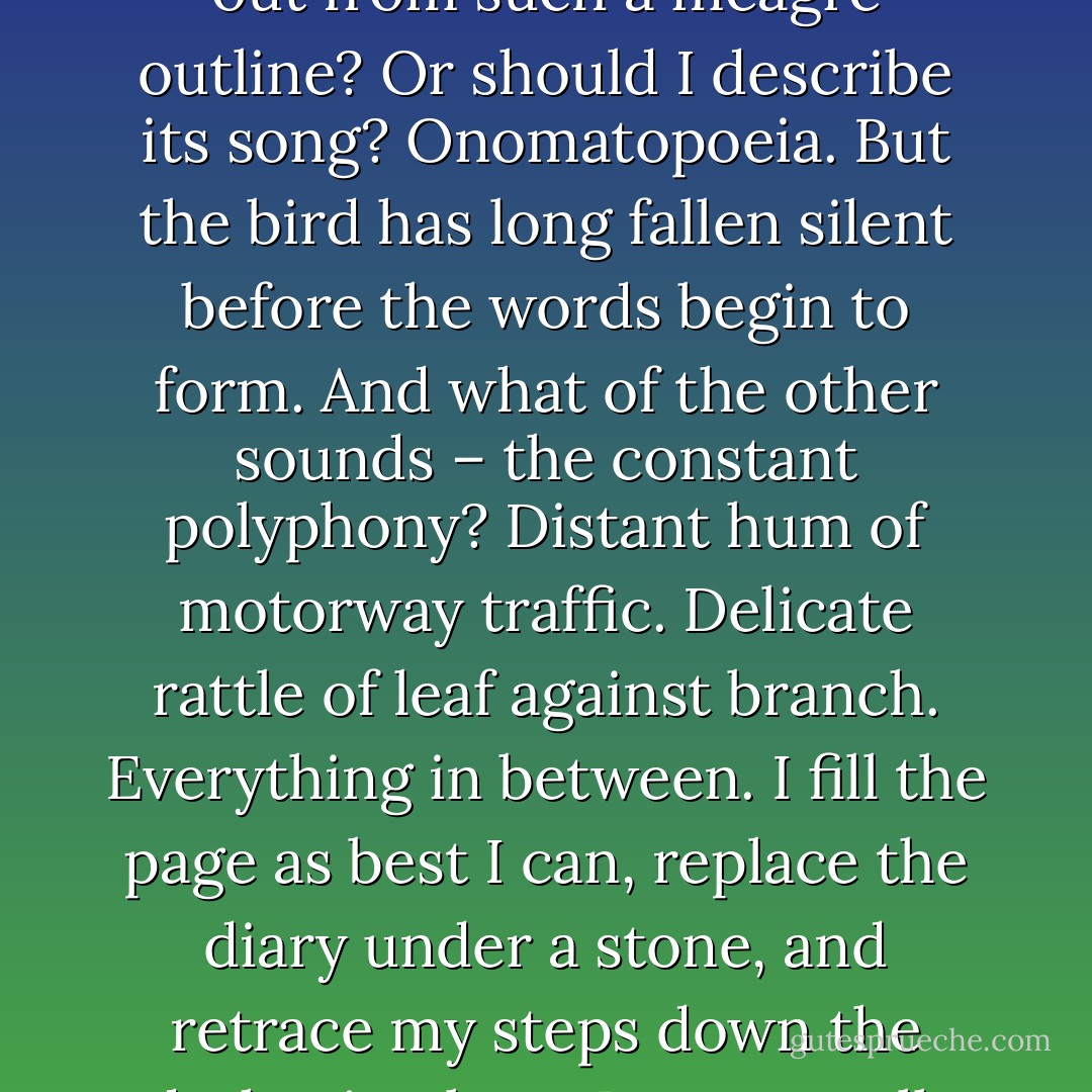 How to begin writing this down? Shall it be a simple inventory? A list of parts. Names. Dates. Genealogies. Sound<br />begetting sound. Endless melody. If I were to say – a robin sings in the trees across the field from this coppice – would that be enough? Could you flesh things out from such a meagre outline? Or should I describe its song?<br />Onomatopoeia. But the bird has long fallen silent before the words begin to form. And what of the other sounds – the constant polyphony? Distant hum of motorway traffic. Delicate rattle of leaf against branch. Everything in between. I fill the page as best I can, replace the diary under a stone, and<br />retrace my steps down the darkening lane. But as I walk back under the eaves of those trees, I ask myself<br />– could any film, recording or photograph tell you this? That whilst I dwelt within that wooded chamber, listening to those brief glimmers of song, I forgot about her, the river and its promise. - Richard Skelton