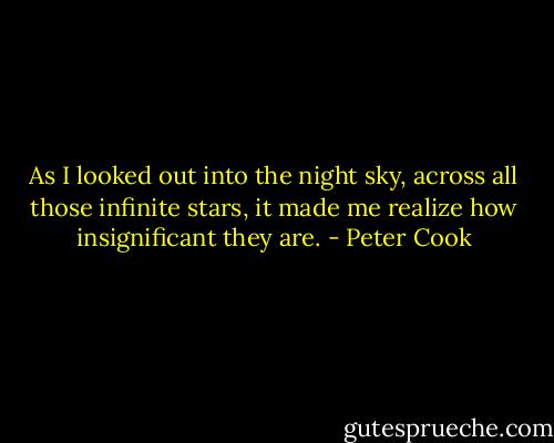 As I looked out into the night sky, across all those infinite stars, it made me realize how insignificant they are. - Peter Cook