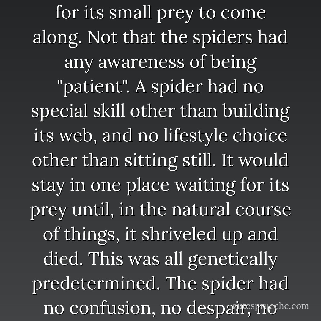 Judging from the spiderwebs clinging to it, the emergency stairway was hardly ever used. To each web clung a small black spider, patiently waiting for its small prey to come along. Not that the spiders had any awareness of being "patient". A spider had no special skill other than building its web, and no lifestyle choice other than sitting still. It would stay in one place waiting for its prey until, in the natural course of things, it shriveled up and died. This was all genetically predetermined. The spider had no confusion, no despair, no regrets. No metaphysical doubt, no moral complications. Probably. Unlike me. <br />I move,therefore I am. - Haruki Murakami
