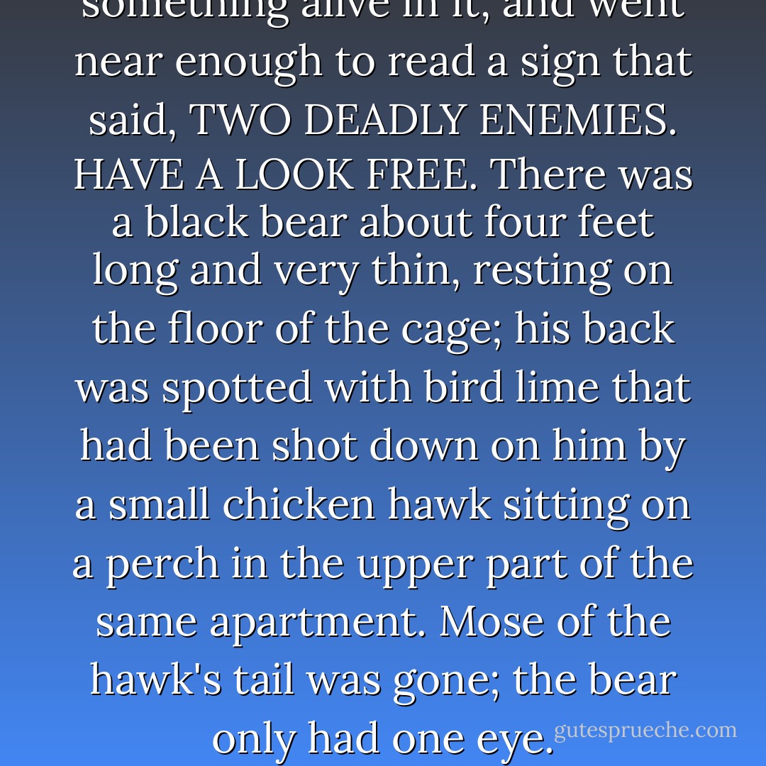 He saw that there was something alive in it, and went near enough to read a sign that said, TWO DEADLY ENEMIES. HAVE A LOOK FREE. There was a black bear about four feet long and very thin, resting on the floor of the cage; his back was spotted with bird lime that had been shot down on him by a small chicken hawk sitting on a perch in the upper part of the same apartment. Mose of the hawk's tail was gone; the bear only had one eye. - Flannery O'Connor