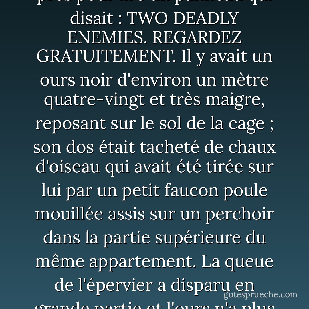 Il vit qu'il y avait quelque chose de vivant, et s'approcha assez près pour lire un panneau qui disait : TWO DEADLY ENEMIES. REGARDEZ GRATUITEMENT. Il y avait un ours noir d'environ un mètre quatre-vingt et très maigre, reposant sur le sol de la cage ; son dos était tacheté de chaux d'oiseau qui avait été tirée sur lui par un petit faucon poule mouillée assis sur un perchoir dans la partie supérieure du même appartement. La queue de l'épervier a disparu en grande partie et l'ours n'a plus qu'un œil. - Flannery O'Connor