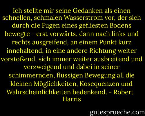 Ich stellte mir seine Gedanken als einen schnellen, schmalen Wasserstrom vor, der sich durch die Fugen eines gefliesten Bodens bewegte - erst vorwärts, dann nach links und rechts ausgreifend, an einem Punkt kurz innehaltend, in eine andere Richtung weiter vorstoßend, sich immer weiter ausbreitend und verzweigend und dabei in seiner schimmernden, flüssigen Bewegung all die kleinen Möglichkeiten, Kosequenzen und Wahrscheinlichkeiten bedenkend. - Robert   Harris