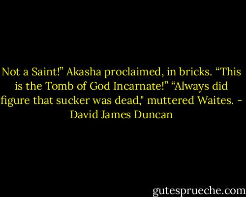 Not a Saint!” Akasha proclaimed, in bricks. “This is the Tomb of God Incarnate!”<br />“Always did figure that sucker was dead," muttered Waites. - David James Duncan