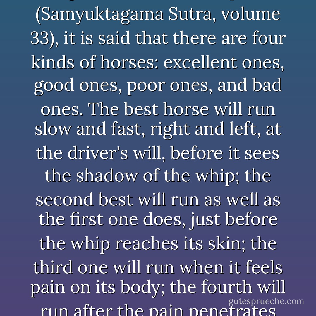 In the zazen posture, your mind and body have, great power to accept things as they are, whether agreeable or disagreeable.<br />In our scriptures (Samyuktagama Sutra, volume 33), it is said that there are four kinds of horses: excellent ones, good ones, poor ones, and bad ones. The best horse will run slow and fast, right and left, at the driver's will, before it sees the shadow of the whip; the second best will run as well as the first one does, just before the whip reaches its skin; the third one will run when it feels pain on its body; the fourth will run after the pain penetrates to the marrow of its bones. You can imagine how difficult it is for the fourth one to learn how to run! - Shunryu Suzuki
