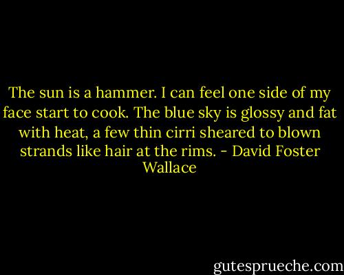 The sun is a hammer. I can feel one side of my face start to cook. The blue sky is glossy and fat with heat, a few thin cirri sheared to blown strands like hair at the rims. - David Foster Wallace