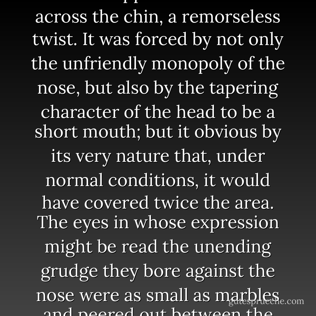 It was a long head.<br /><br />It was a wedge, a sliver, a grotesque slice in which it seemed the features had been forced to stake their claims, and it appeared that they had done so in a great hurry and with no attempt to form any kind of symmetrical pattern for their mutual advantage. The nose had evidently been first upon the scene and had spread itself down the entire length of the wedge, beginning among the grey stubble of the hair and ending among the grey stubble of the beard, and spreading on both sides with a ruthless disregard for the eyes and mouth which found precarious purchase. The mouth was forced by the lie of the terrain left to it, to slant at an angle which gave to its right-hand side an expression of grim amusement and to its left, which dipped downwards across the chin, a remorseless twist. It was forced by not only the unfriendly monopoly of the nose, but also by the tapering character of the head to be a short mouth; but it obvious by its very nature that, under normal conditions, it would have covered twice the area. The eyes in whose expression might be read the unending grudge they bore against the nose were as small as marbles and peered out between the grey grass of the hair.<br />This head, set at a long incline upon a neck as wry as a turtle's cut across the narrow vertical black strip of the window.<br />Steerpike watched it turn upon the neck slowly. It would not have surprised him if it had dropped off, so toylike was its angle.<br />As he watched, fascinated, the mouth opened and a voice as strange and deep as the echo of a lugubrious ocean stole out into the morning. Never was a face so belied by its voice.<br />The accent was of so weird a lilt that at first Steerpike could not recognize more than one sentence in three, but he had quickly attuned himself to the original cadence and as the words fell into place Steerpike realised he was staring at a poet. - Mervyn Peake