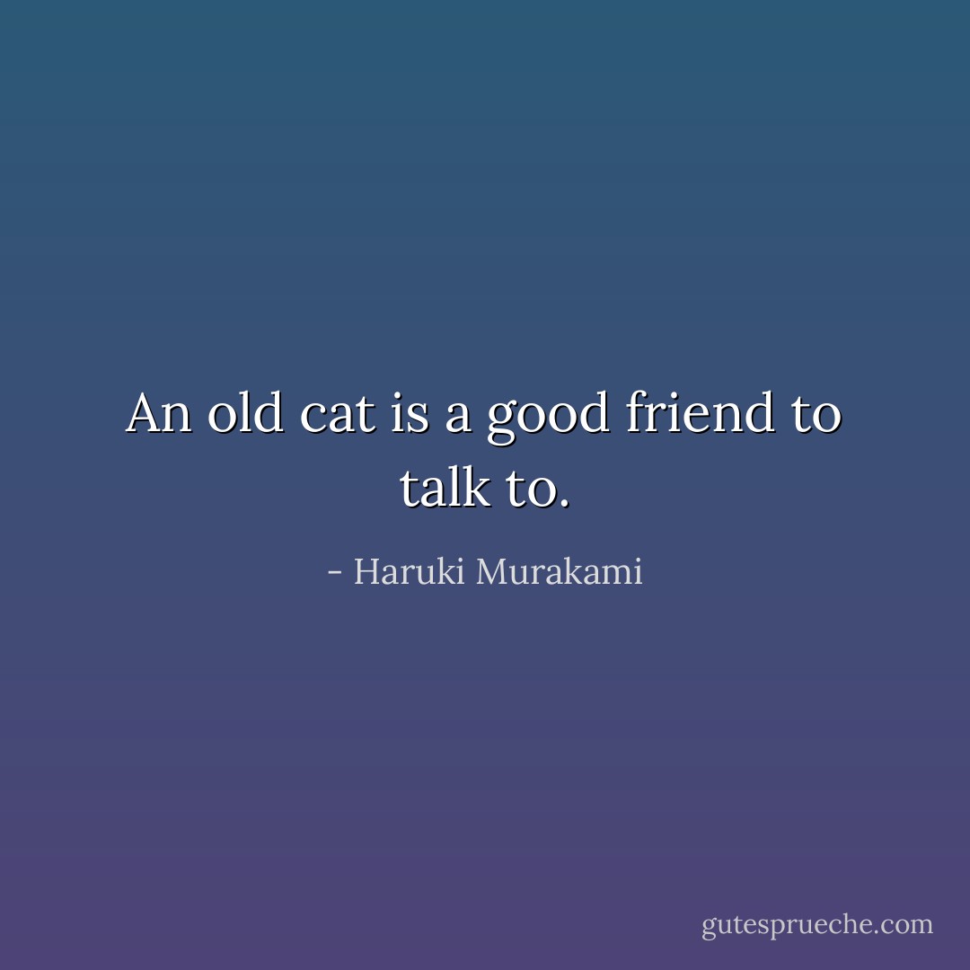 An old cat is a good friend to talk to. - Haruki Murakami