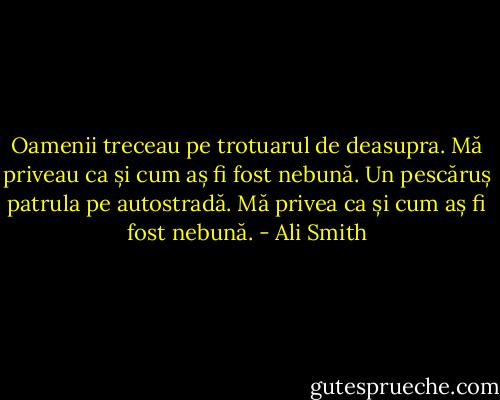 Oamenii treceau pe trotuarul de deasupra. Mă priveau ca și cum aș fi fost nebună. Un pescăruș patrula pe autostradă. Mă privea ca și cum aș fi fost nebună. - Ali Smith