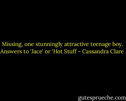 Missing, one stunningly attractive teenage boy. Answers to 'Jace' or 'Hot Stuff - Cassandra Clare