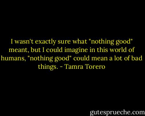 I wasn't exactly sure what "nothing good" meant, but I could imagine in this world of humans, "nothing good" could mean a lot of bad things. - Tamra Torero