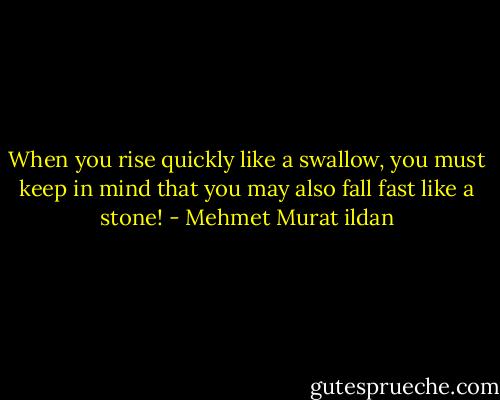 When you rise quickly like a swallow, you must keep in mind that you may also fall fast like a stone! - Mehmet Murat ildan