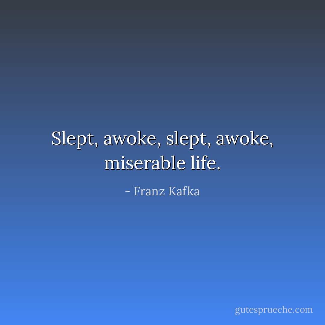 Slept, awoke, slept, awoke, miserable life. - Franz Kafka