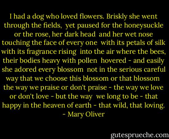 I had a dog<br />who loved flowers.<br />Briskly she went<br />through the fields,<br /><br />yet paused<br />for the honeysuckle<br />or the rose,<br />her dark head<br /><br />and her wet nose<br />touching<br />the face<br />of every one<br /><br />with its petals<br />of silk<br />with its fragrance<br />rising<br /><br />into the air<br />where the bees,<br />their bodies<br />heavy with pollen<br /><br />hovered -<br />and easily<br />she adored<br />every blossom<br /><br />not in the serious<br />careful way<br />that we choose<br />this blossom or that blossom<br /><br />the way we praise or don't praise -<br />the way we love<br />or don't love -<br />but the way<br /><br />we long to be -<br />that happy<br />in the heaven of earth -<br />that wild, that loving. - Mary Oliver