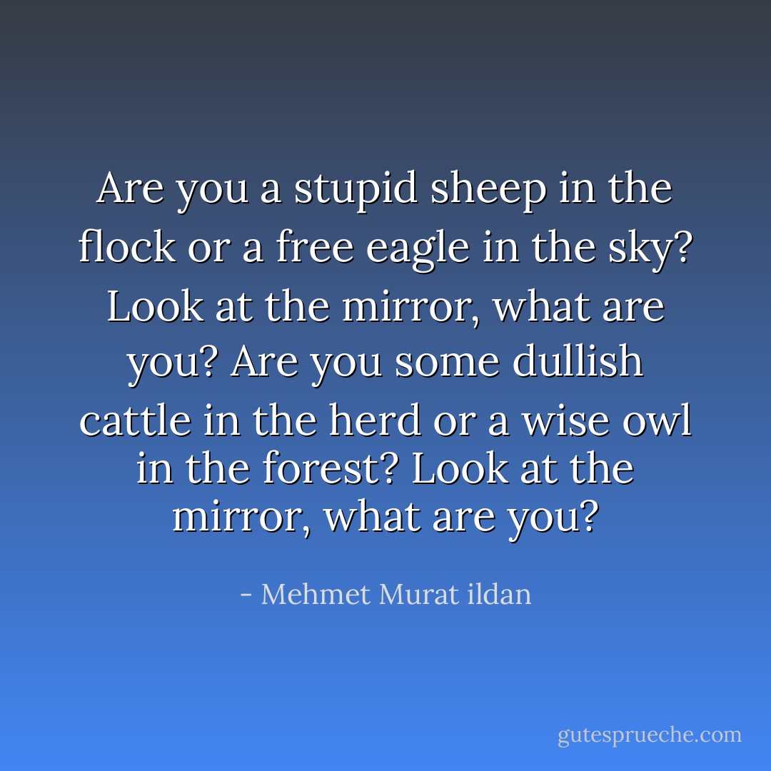 Are you a stupid sheep in the flock or a free eagle in the sky? Look at the mirror, what are you? Are you some dullish cattle in the herd or a wise owl in the forest? Look at the mirror, what are you? - Mehmet Murat ildan