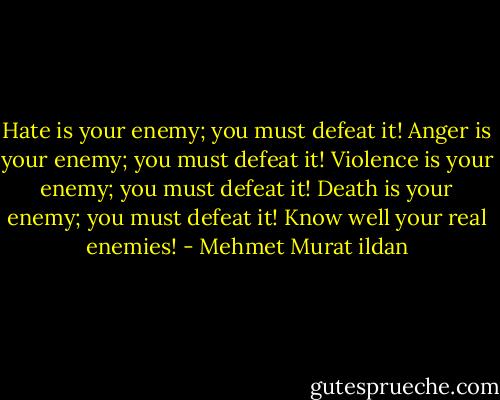 Hate is your enemy; you must defeat it! Anger is your enemy; you must defeat it! Violence is your enemy; you must defeat it! Death is your enemy; you must defeat it! Know well your real enemies! - Mehmet Murat ildan