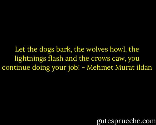 Let the dogs bark, the wolves howl, the lightnings flash and the crows caw, you continue doing your job! - Mehmet Murat ildan