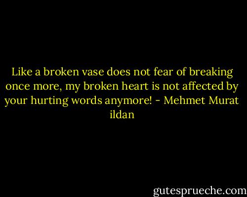 Like a broken vase does not fear of breaking once more, my broken heart is not affected by your hurting words anymore! - Mehmet Murat ildan