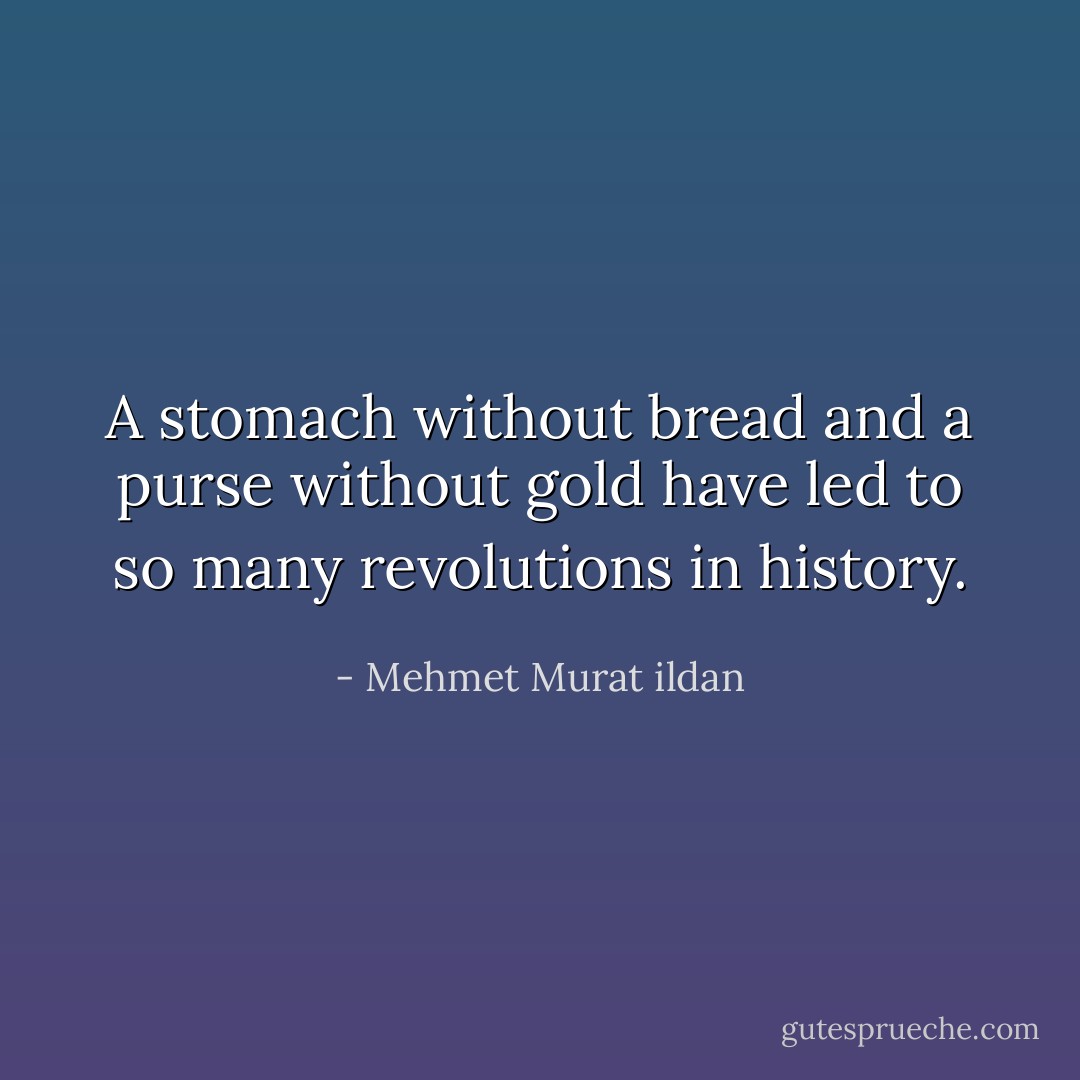A stomach without bread and a purse without gold have led to so many revolutions in history. - Mehmet Murat ildan