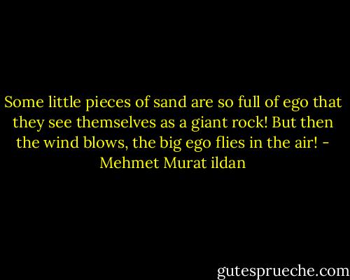 Some little pieces of sand are so full of ego that they see themselves as a giant rock! But then the wind blows, the big ego flies in the air! - Mehmet Murat ildan