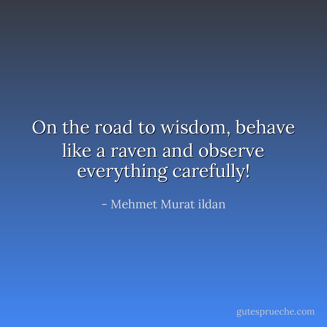 On the road to wisdom, behave like a raven and observe everything carefully! - Mehmet Murat ildan